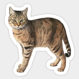 Tiger Cat Art, Love Cats Sticker